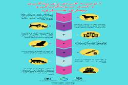  ۷ توصیـه‌ کاربردی برای پیشگـــیری و کنترل حیـــوان‌گزیــدگـی و بیماری هـــــاری